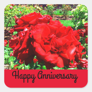 Aniversario feliz Rosa Roja #1 Pegatinas