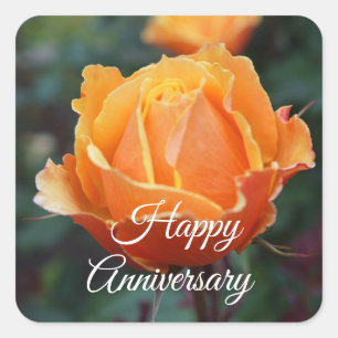 Aniversario feliz sobre el Rosa #1 Pegatinas