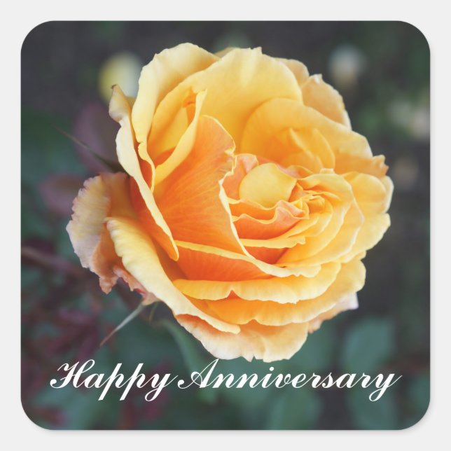 Aniversario feliz sobre el Rosa #3 Pegatinas (Anverso)