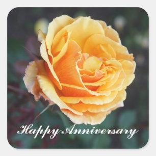 Aniversario feliz sobre el Rosa #3 Pegatinas