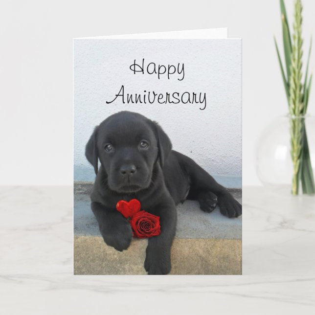 Aniversario feliz tarjeta de saludo de cachorro La (Anverso)