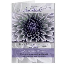 Aniversario romántico de la flor de lavanda suave