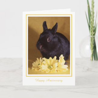 Aniversario - tarjeta de felicitación del conejito