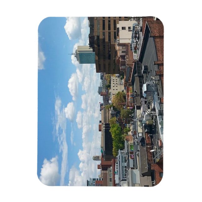 ANN ARBOR MICHIGAN Imán (Vertical)