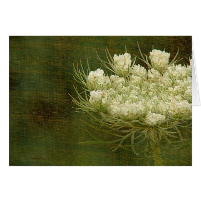 Anne Lace de la Reina (Anverso (Horizontal))