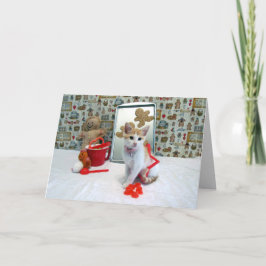 Annie está haciendo un dulce Navidad - Gato / Gati