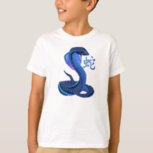 Año de la camisa de la serpiente