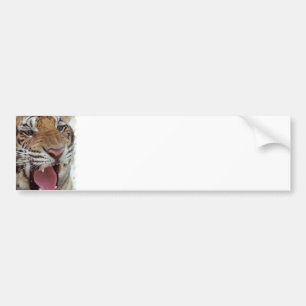 Año de la pegatina para el parachoques del tigre