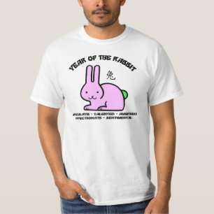 Año de las características de la camiseta del