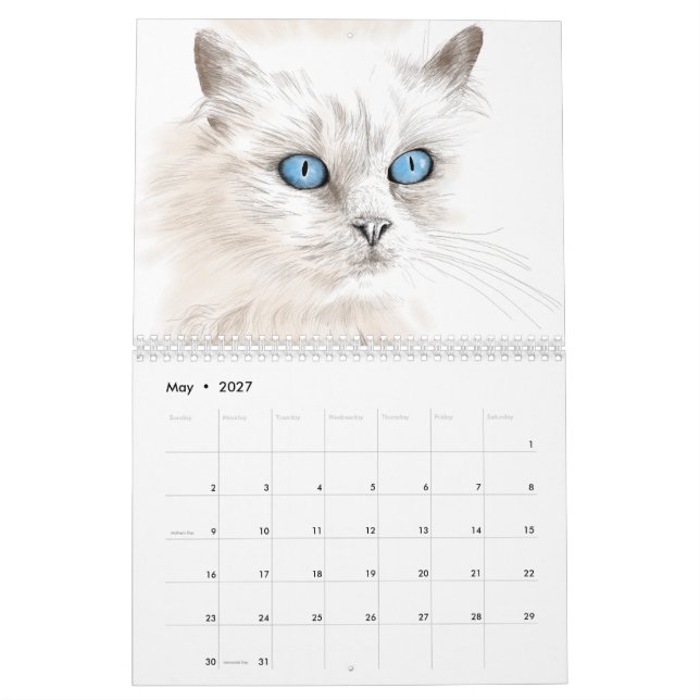 Año del calendario de los dibujos de los gatos (May 2027)