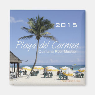Año del cambio del imán de la playa de México d