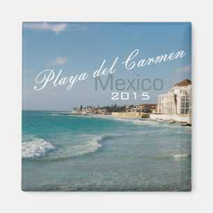 Año del cambio del imán de la playa de México d