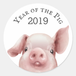 Año lindo del Sello para sobres del cerdo 2019