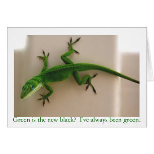 Anole verde