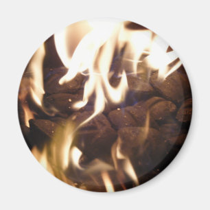 Años Nuevos de imán de Eve_December 31 (101)