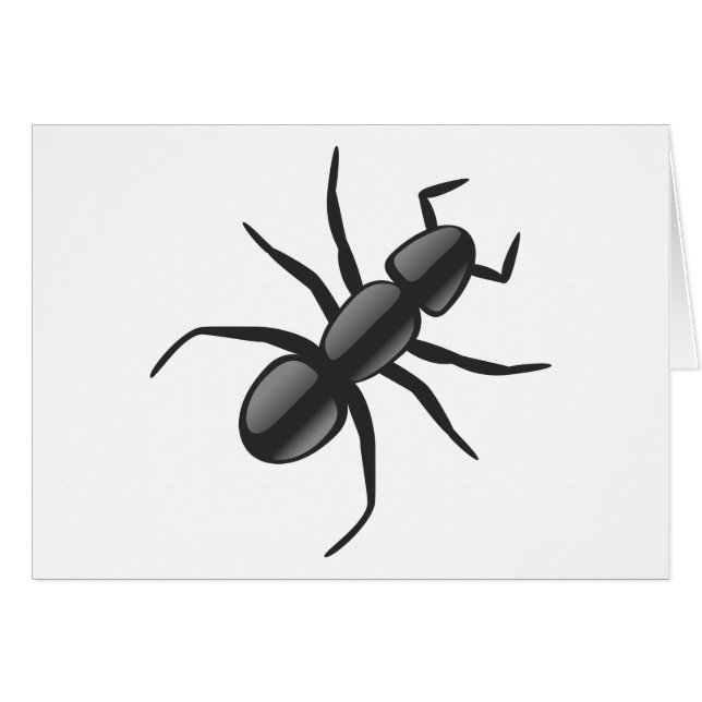 Ant (Anverso (Horizontal))