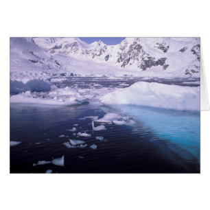 Antártida. Expedición a través de paisajes de hiel