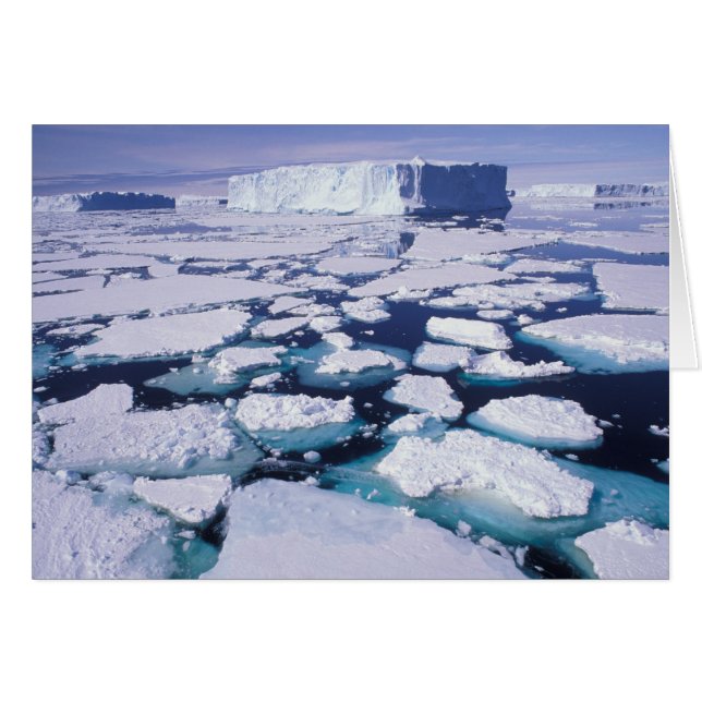 Antártida, flujo de hielo. (Anverso (Horizontal))