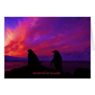 Antártida Sunset card