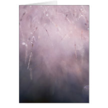 Antecedentes de Grass Dew Drop Blue Brown