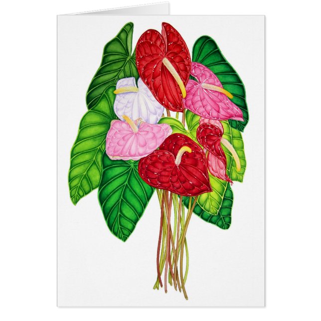 Anthurium (Frente)