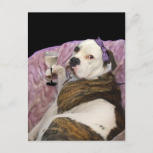 antigua postal de bulldogge inglesa