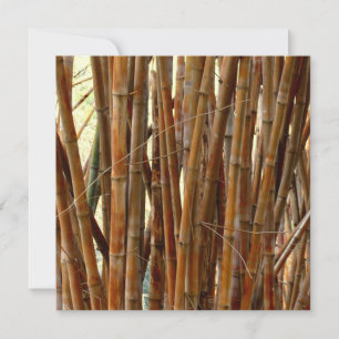 Antiguo Bambú