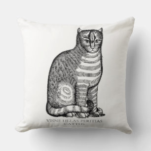 Antiguo Cojín decorativo de gato difuso
