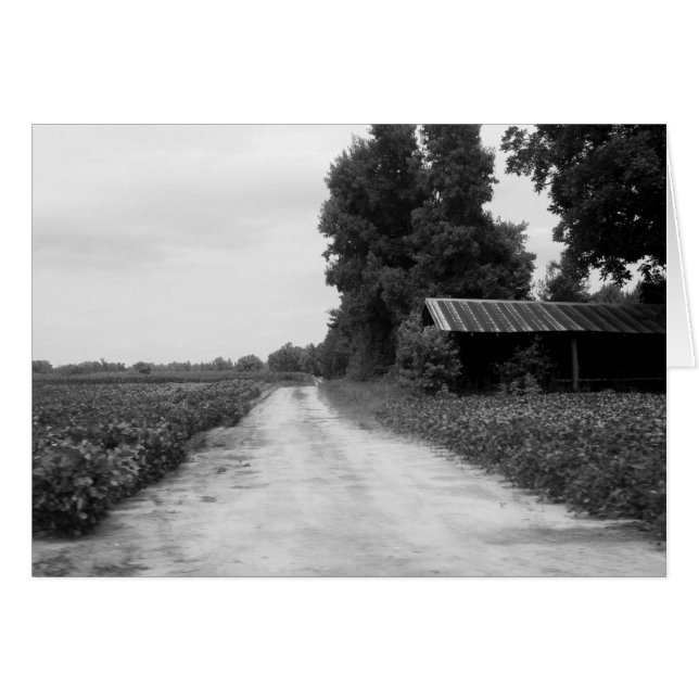 Antiguo establo de edificios en Carolina del Norte (Anverso (Horizontal))