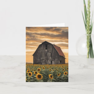 Antiguo Granero De Madera En Sunflowers