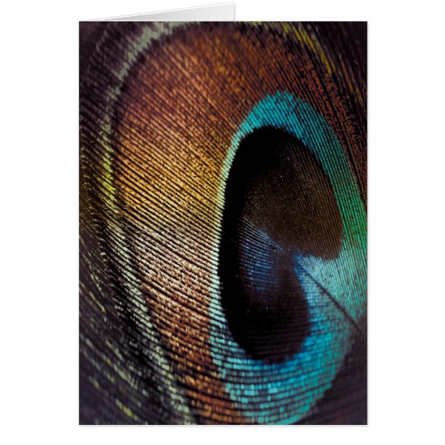 Antiguo Hues Peacock Feather Eye (Frente)