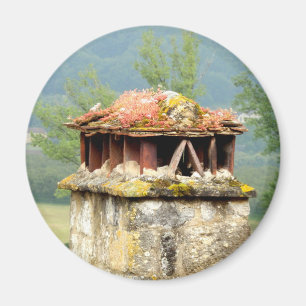 Antiguo imán de neblina de chimenea francés