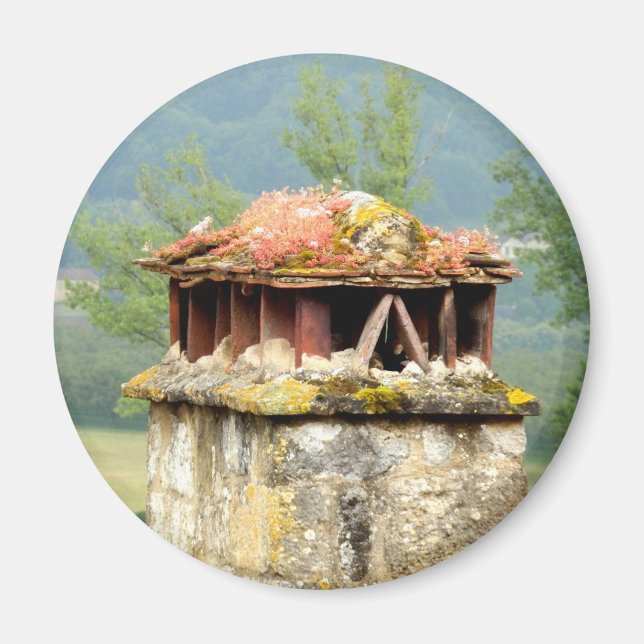 Antiguo imán de neblina de chimenea francés (Frente)
