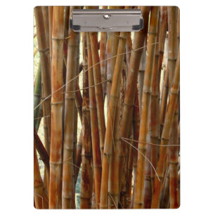 Antiguo Portapapeles de Bambú
