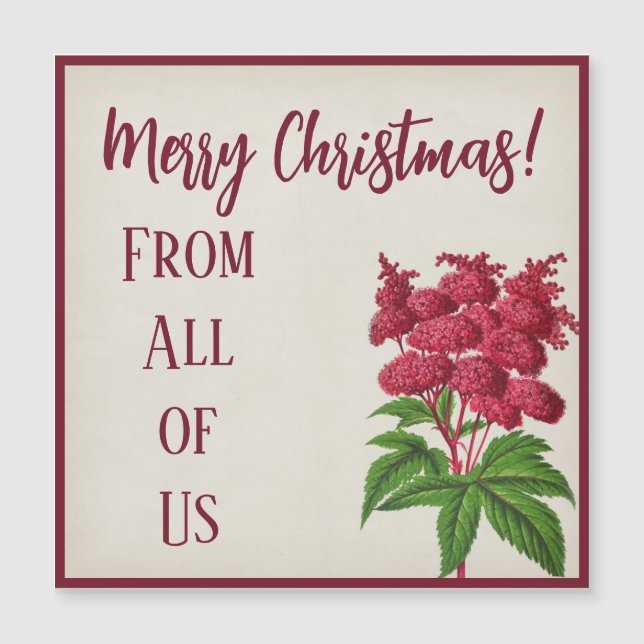 Antiguo Vintage Navidad Espiraea Roja Palmata (Anverso)