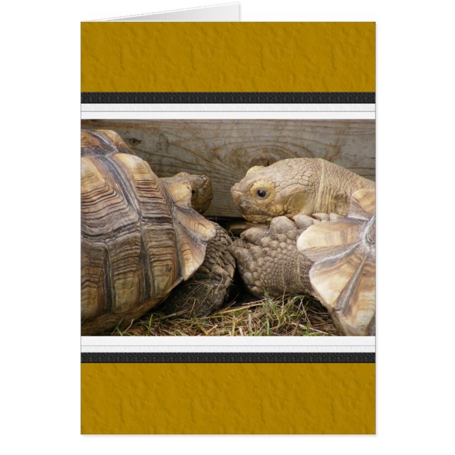 Antiguos Gossips (Frente)