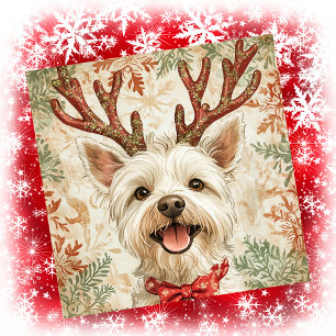 Antílope de Navidad para Westie