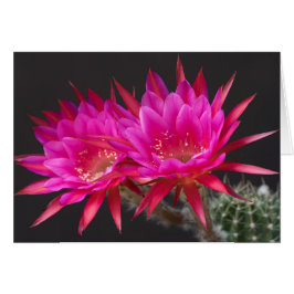 Antimateria dos veces