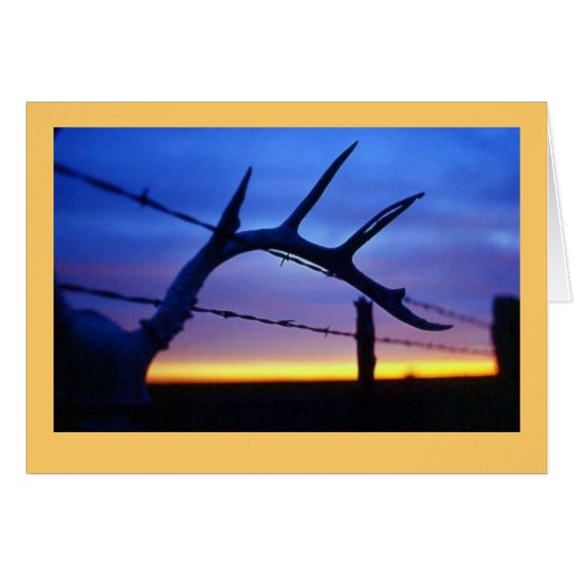 "Antlers #3" (Anverso (Horizontal))