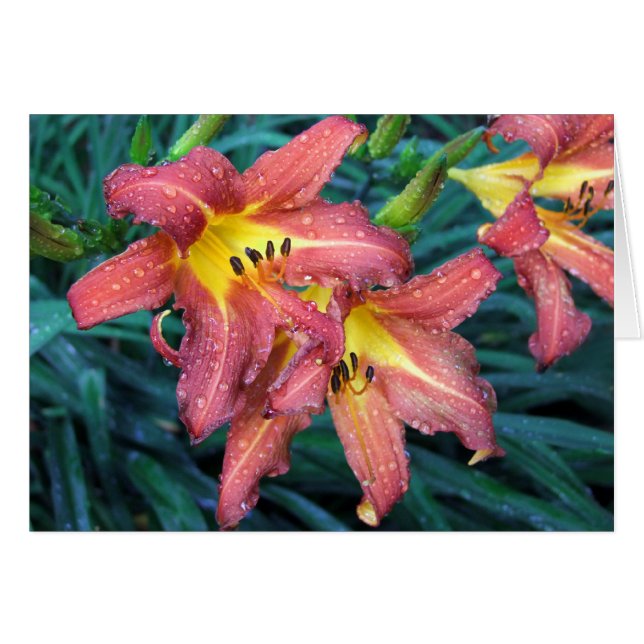 Antorcha ardiente (Anverso (Horizontal))