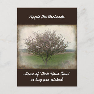 Anunciando el árbol de manzanas en una postal en f