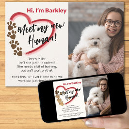 Anuncio Adopción de Mascota Nueva