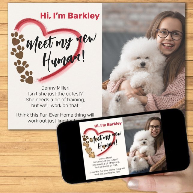 Anuncio Adopción de Mascota Nueva (Subido por el creador)