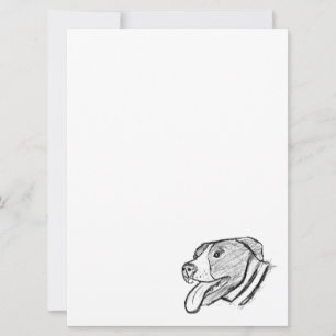 Anuncio amante de los animales