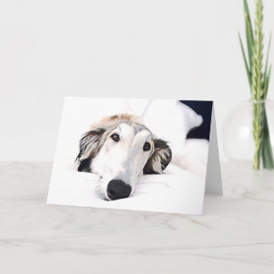 Anuncio amor Borzoi