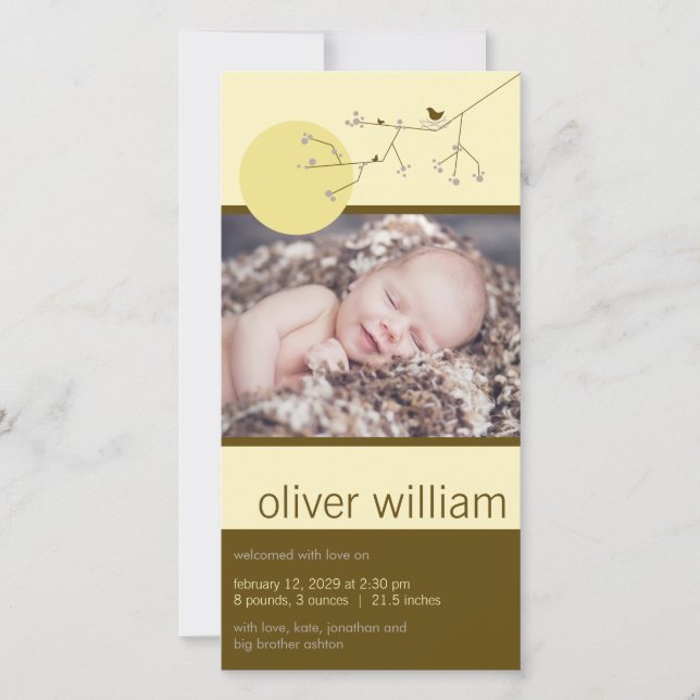 Anuncio Anidación De Aves Familiares O Chicas Nacimiento F (Anverso)