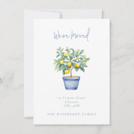 Anuncio Árbol de limón poso Hemos movido nueva dirección