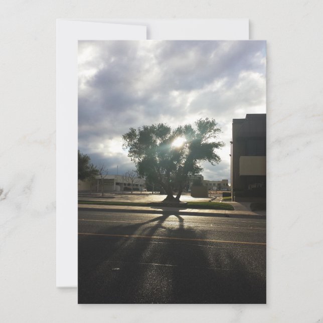 Anuncio Árbol urbano (Anverso)