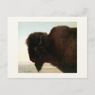 Anuncio Arte de Buffalo Head Albert Bierstadt bison