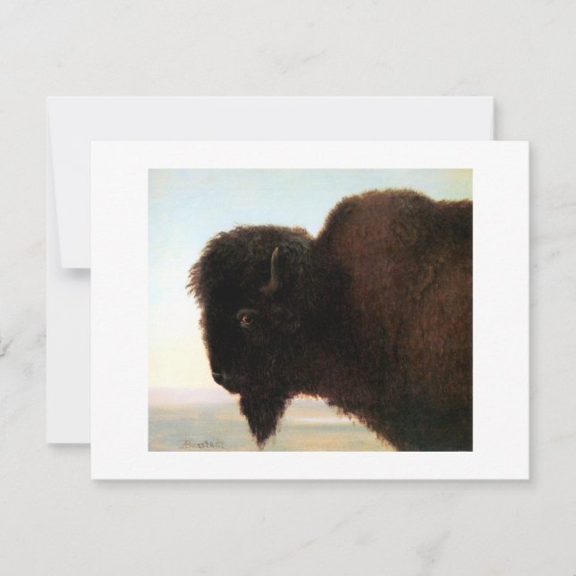 Anuncio Arte de Buffalo Head Albert Bierstadt bison (Anverso)